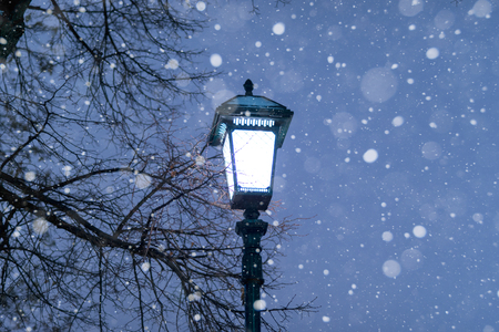 a light in winter night lights snowingの写真素材