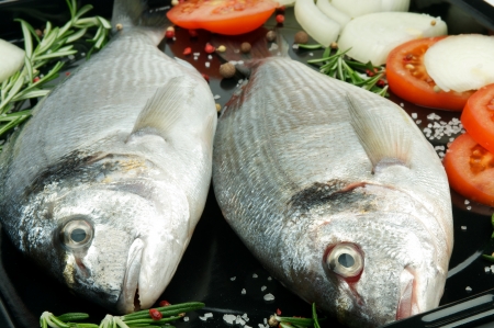 Two Fresh Gilthead Fish with Onion, Tomatoes, Spices and Rosemary on Black Dripping Pan prepared to fryingの写真素材