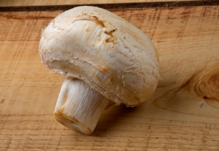 One Perfect Raw White Champignon closeup on Wooden backgroundの写真素材