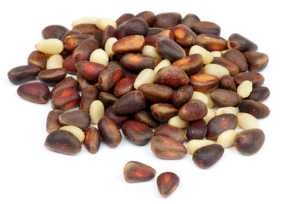 Heap of Cedar Nuts   Kernels and Nutshell isolated on white background