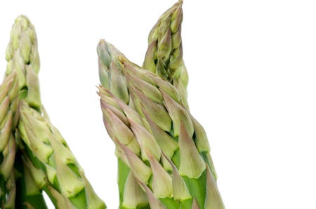 Raw Green Asparagus Sprouts isolated on white backgroundの写真素材