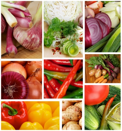 Collection of Various Raw Vegetables Backgroundsの写真素材