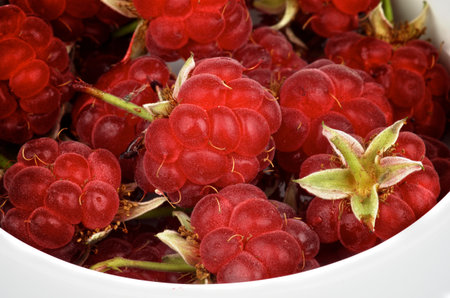 Perfect Ripe Raspberries with Fruit Stems closeup in white Bowl