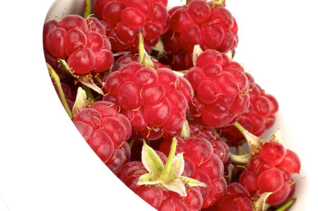Perfect Ripe Raspberries with Fruit Stems in White Bowl isolated on white background