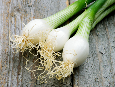 Bunch of Three Spring Onion Bulbs isolated on Rustic Wooden backgroundの写真素材