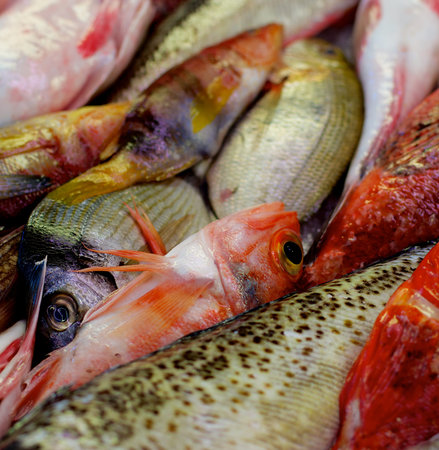 Background of Various Raw Fish with Red Mullets, Sea Bream, Trout and Dorada on Market Place. Focus...