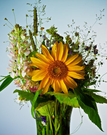 Bouquet of Wildflowers and Various Grasses with Big Sunflower and Pink Lupines closeup on Blue Toned backgroundの写真素材
