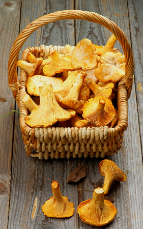 Wicker Basket Full Of Perfect Raw Chanterelles closeup on Rustic Wooden backgroundの写真素材