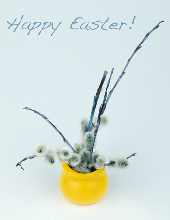 Easter Greeting Card with Branches of Small Fluffy Pussy-Willow in Yellow Pot and Inscription on Blue Toned backgroundの写真素材