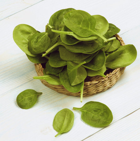 Arrangement of Small Raw Spinach Leafs in Wicker Plate closeup on Light Blue Wooden background....