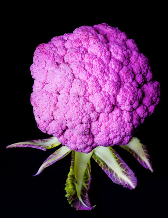 Fresh Raw Purple Cauliflower Full Body with Leafs isolated on Black backgroundの写真素材