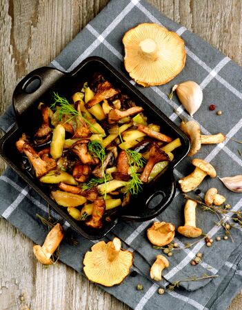 Delicious Vegetarian Roasted Chanterelles Ragout with Potatoes, Carrots, Eggplants in Black Square Pan and Raw Mushrooms closeup on Grey Napkin. Top Viewの写真素材