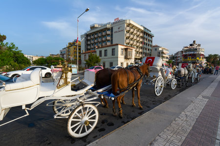 KUSADASI, TURKEY - MAY 23, 2015: Horse carriage on the street of Kusadasi, Turkey.のeditorial素材