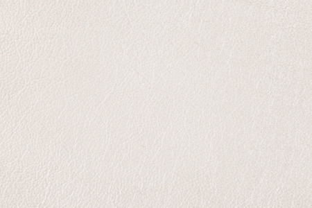 High resolution texture. Background. Skin. Pattern. Photographyの写真素材