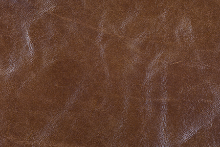 High resolution texture. Background. Natural skin. Patternの写真素材
