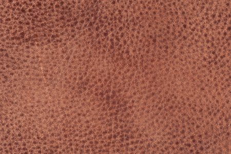 High resolution texture. Background. Natural skin. Patternの写真素材
