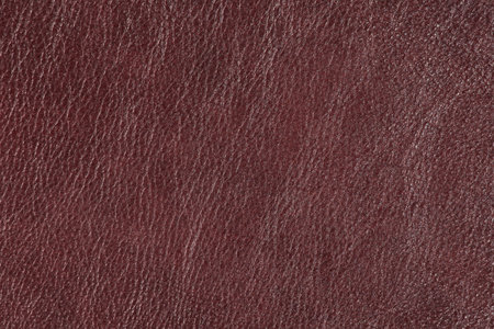 High resolution texture. Background. Skin. Pattern. Photographyの写真素材