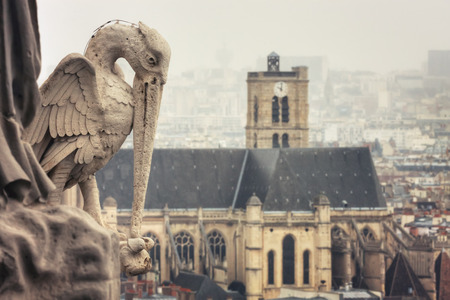 View from Tower of Cathedrale Notre-Dame de Paris on St-Gervais-et-St-Protais Church of Paris. Statue of stork. Franceの写真素材