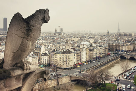 View from Cathedrale Notre-Dame de Paris to the spectacular Paris, Seine, Hotel Notre-Dame Saint Michel and Eiffel tower. Picture is taken from gargoyle statues side.の写真素材