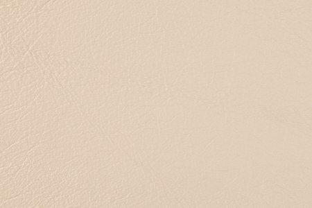 High resolution texture. Background. Skin. Pattern. Photographyの写真素材