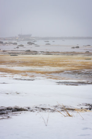 Morning fog on the snowy coast of the sea. Estoniaの写真素材