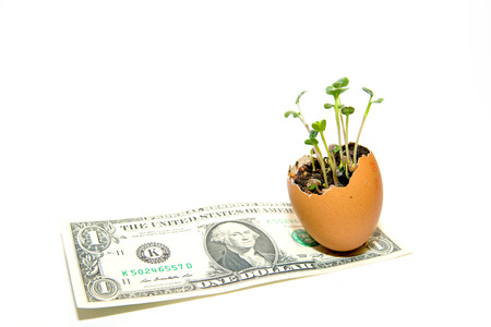 The plant grows from the soil, sprinkling in the egg on a white backgroundの写真素材