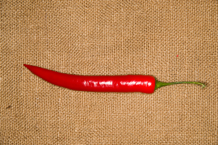 One red Chile pepper  on old clothの写真素材