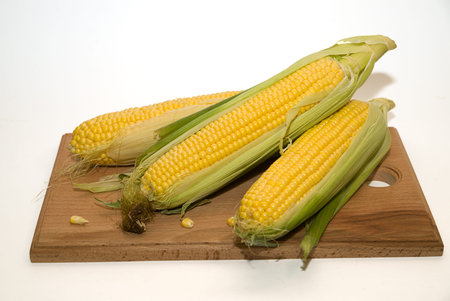 A few mature ears of corn on over white