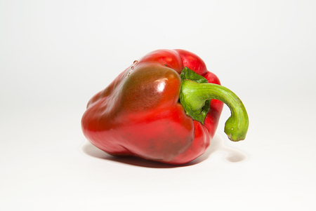 One red  pepper on a white backgroundの写真素材