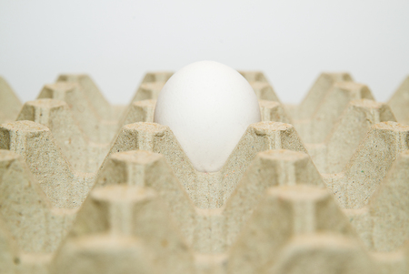 One egg is in a cardboard box for sale.の写真素材
