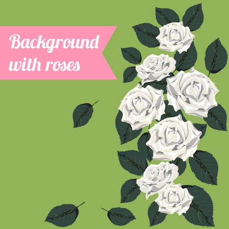 Colorful background with white roses. Event design templateのイラスト素材