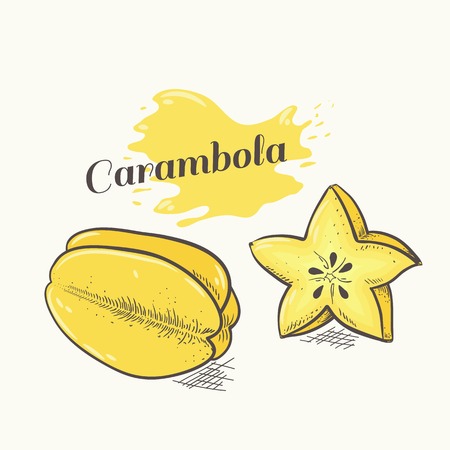 Vector illustration of hand drawn carambolaのイラスト素材