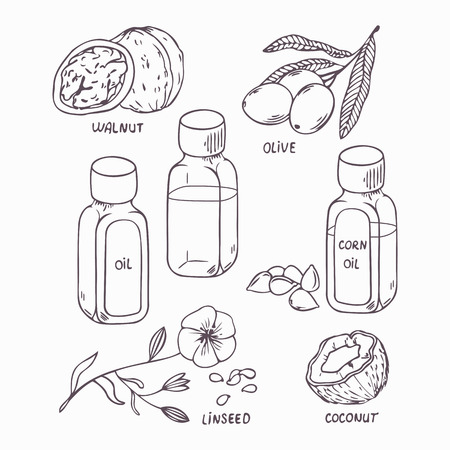 Healthy oil set in outline style. Coconut, walnut, olive, corn and linseed oil vector illustrationのイラスト素材