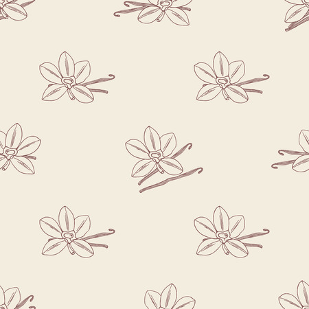 Seamless pattern with sketched vanilla flower and beans. Hand drawn vector background for kitchen/cafe/coffee houseのイラスト素材