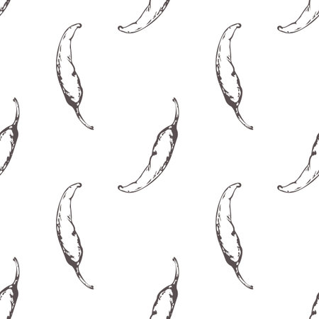 Outline seamless pattern with hand drawn chili peppers in black and white. Sketched food background. Vector illustrationのイラスト素材