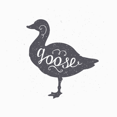 Hand drawn farm bird hipster silhouette. Goose meat hand lettering. Butcher shop design template for craft beef meat packaging or food restaurant. Grunge paper style background. Vector illustrationのイラスト素材
