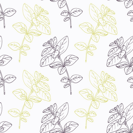 Hand drawn oregano branch stylized black and green seamless pattern. Doodle drawing spicy herbs. Kitchen background. Hand drawn seasoning. Vector illustrationのイラスト素材