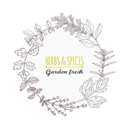 Round frame with hand drawn herbs and spices. Outline style seasoning background with place for text. Vector illustrationのイラスト素材