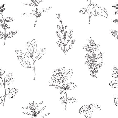 Seamless pattern with hand drawn spicy herbs. Black and white kitchen background with fresh seasoning in sketch stile. Vector illustrationのイラスト素材