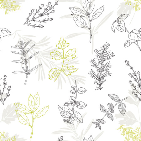 Seamless pattern with hand drawn spicy herbs. Culinary kitchen background with fresh seasoning in sketch stile. Vector illustrationのイラスト素材