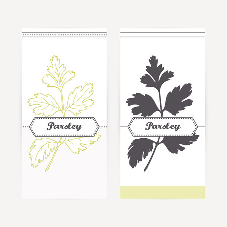 Parsley seasoning. Hand drawn branch with leaves in outline and silhouette style. Spicy herbs retro labels collection for food packaging or kitchen design. Vector illustrationのイラスト素材