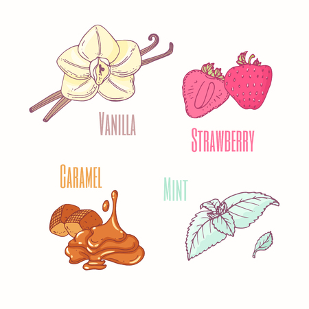 Set of sweet toppings - vanilla, strawberry, caramel and mint. Hand drawn food. Vector illustrationのイラスト素材