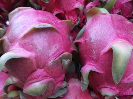 Closeup of dragon fruitの写真素材