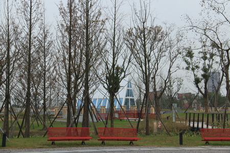 Bare tree in the parkのeditorial素材