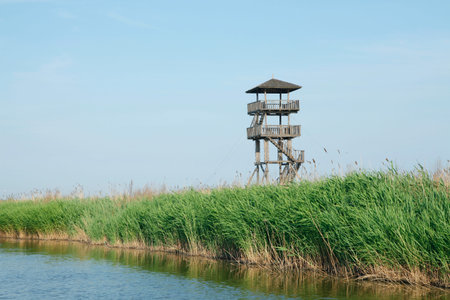 Viewing towerの写真素材