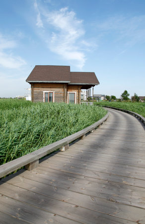 Wetland park of wooden houses, very beautifulのeditorial素材