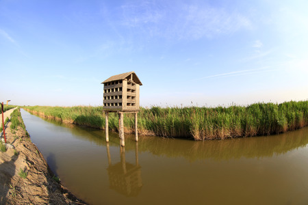 Wetland park of the bird's nestの写真素材