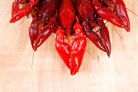 Crawfish, close-upの写真素材