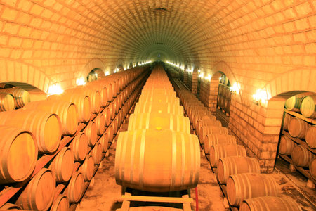 Wine Cellar with Wooden Barrelsのeditorial素材