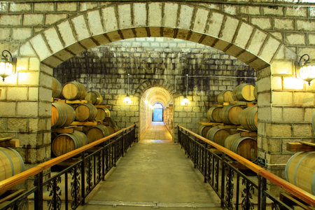 Wine Cellar with Wooden Barrelsのeditorial素材